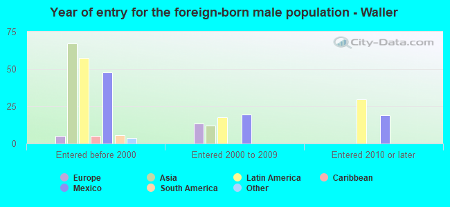 Year of entry for the foreign-born male population - Waller