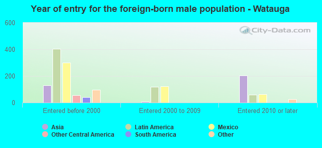Year of entry for the foreign-born male population - Watauga