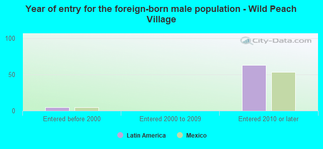 Year of entry for the foreign-born male population - Wild Peach Village