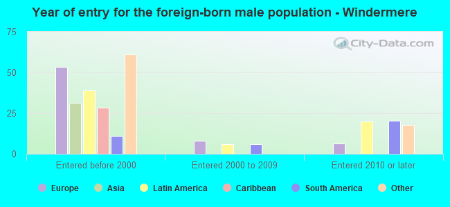 Year of entry for the foreign-born male population - Windermere