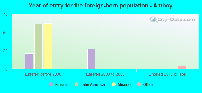 Year of entry for the foreign-born population - Amboy
