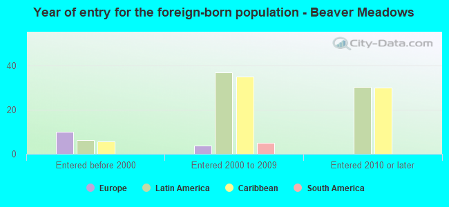 Year of entry for the foreign-born population - Beaver Meadows