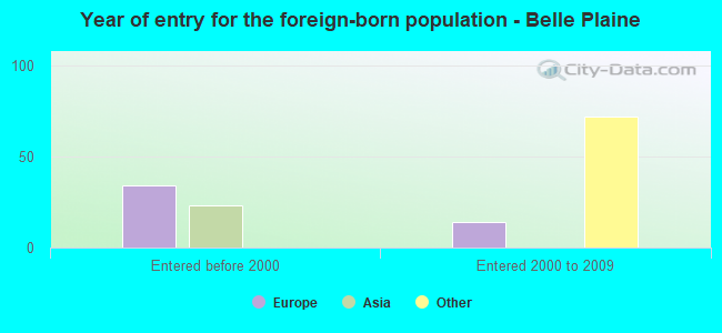 Year of entry for the foreign-born population - Belle Plaine