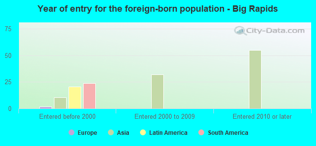 Year of entry for the foreign-born population - Big Rapids