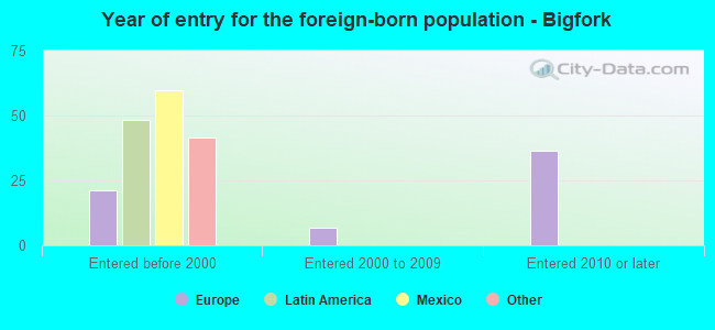Year of entry for the foreign-born population - Bigfork