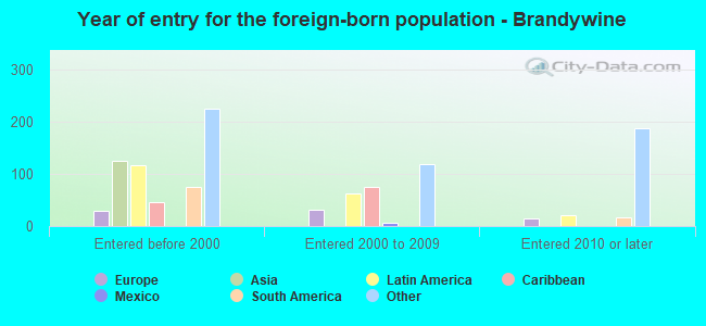 Year of entry for the foreign-born population - Brandywine