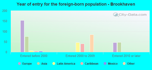 Year of entry for the foreign-born population - Brookhaven