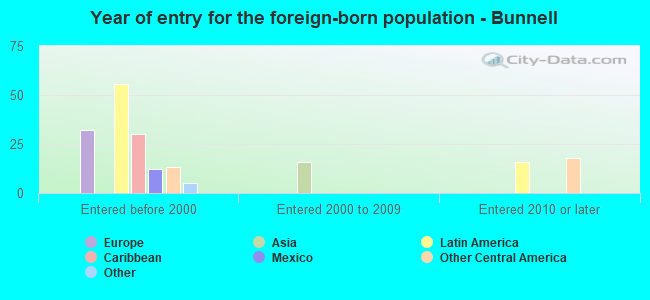 Year of entry for the foreign-born population - Bunnell