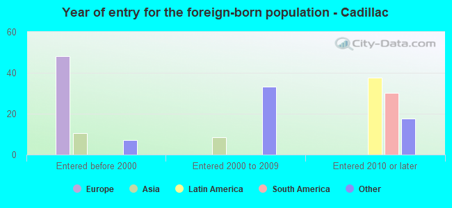 Year of entry for the foreign-born population - Cadillac