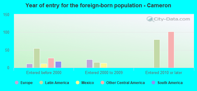 Year of entry for the foreign-born population - Cameron