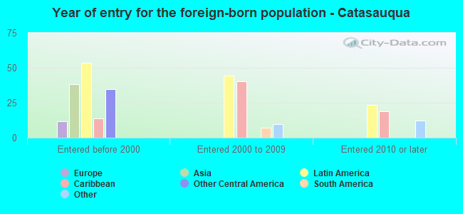 Year of entry for the foreign-born population - Catasauqua