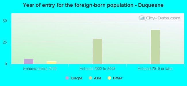 Year of entry for the foreign-born population - Duquesne