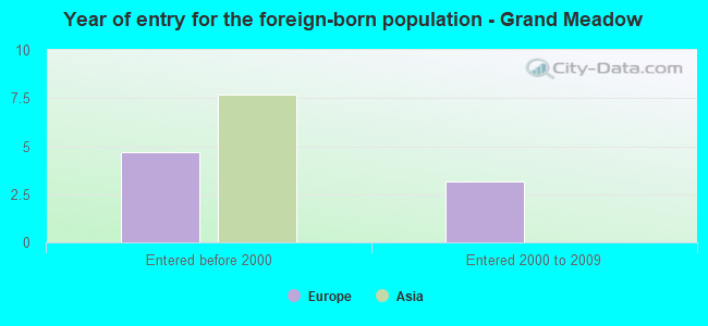 Year of entry for the foreign-born population - Grand Meadow