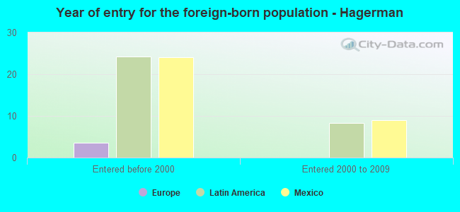 Year of entry for the foreign-born population - Hagerman