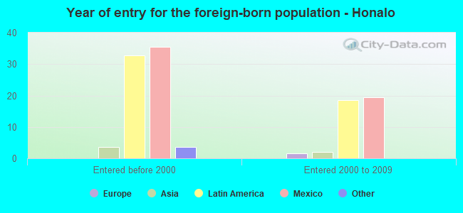 Year of entry for the foreign-born population - Honalo