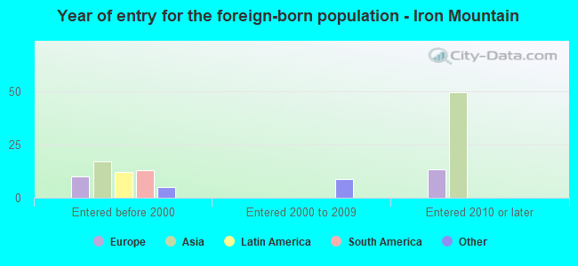 Year of entry for the foreign-born population - Iron Mountain