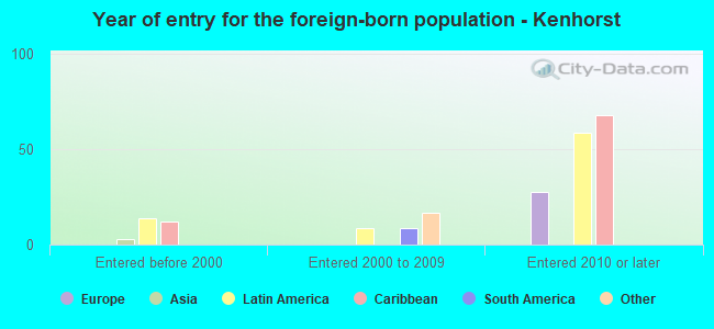 Year of entry for the foreign-born population - Kenhorst