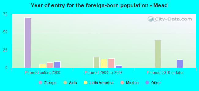 Year of entry for the foreign-born population - Mead
