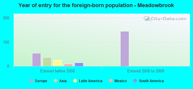 Year of entry for the foreign-born population - Meadowbrook