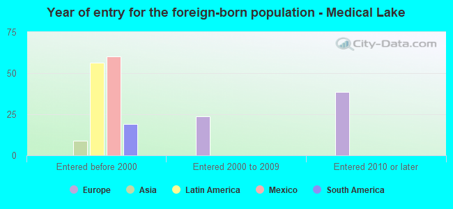 Year of entry for the foreign-born population - Medical Lake