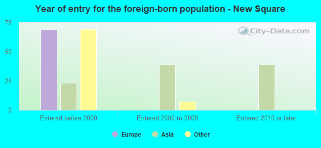 Year of entry for the foreign-born population - New Square