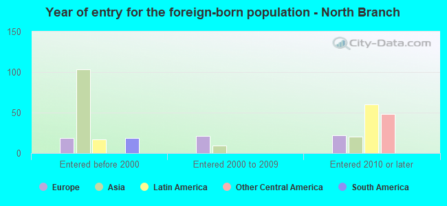 Year of entry for the foreign-born population - North Branch