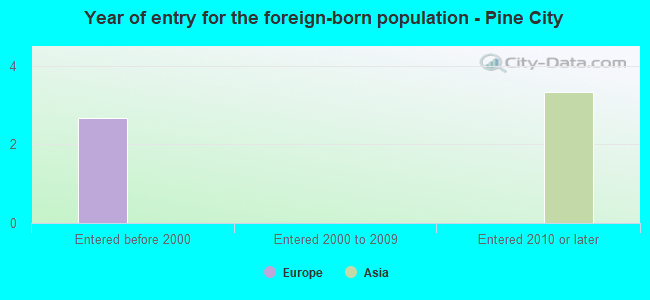 Year of entry for the foreign-born population - Pine City
