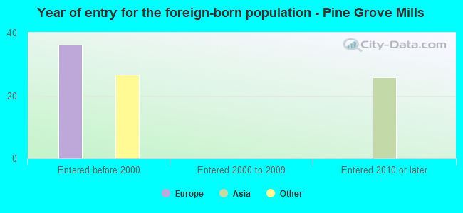 Year of entry for the foreign-born population - Pine Grove Mills