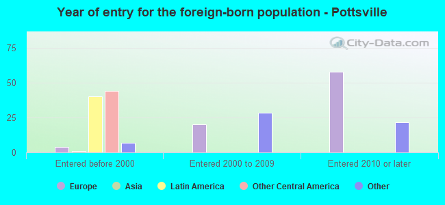 Year of entry for the foreign-born population - Pottsville
