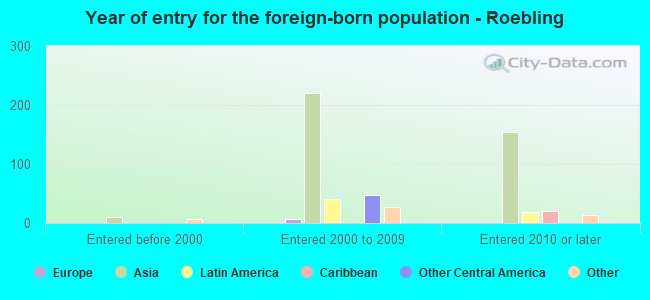 Year of entry for the foreign-born population - Roebling
