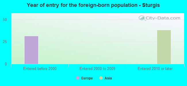 Year of entry for the foreign-born population - Sturgis