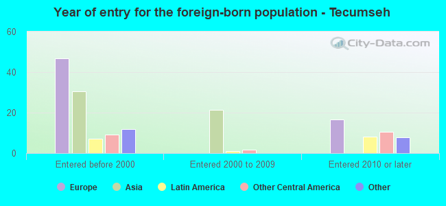 Year of entry for the foreign-born population - Tecumseh