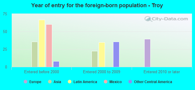 Year of entry for the foreign-born population - Troy