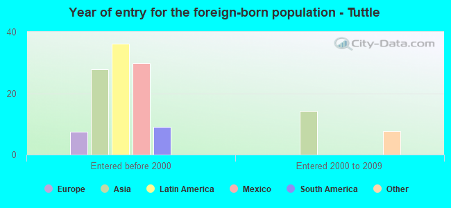Year of entry for the foreign-born population - Tuttle