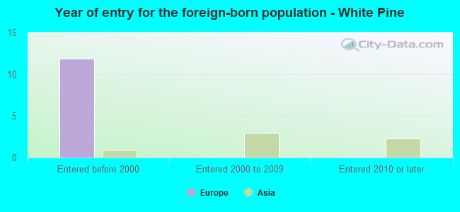 Year of entry for the foreign-born population - White Pine