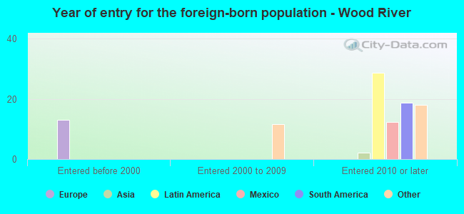 Year of entry for the foreign-born population - Wood River