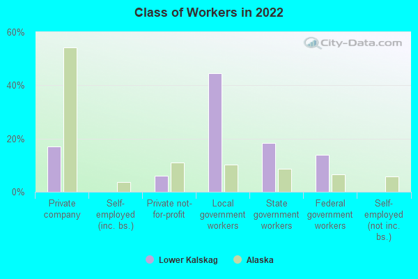 Class of Workers in 2019
