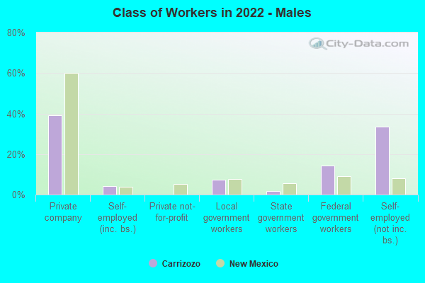Class of Workers in 2022 - Males