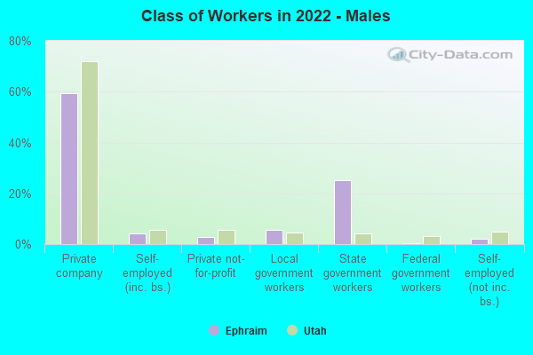 Class of Workers in 2022 - Males