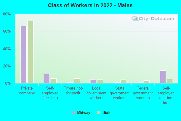 Class of Workers in 2021 - Males