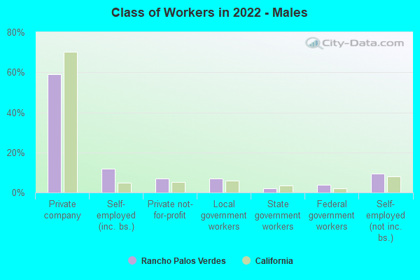 Class of Workers in 2019 - Males