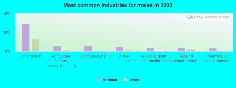 Most common industries for males in 2000