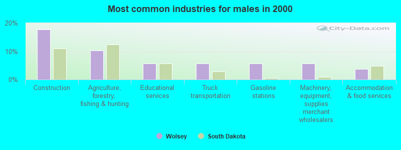 Most common industries for males in 2000