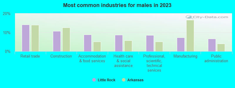 Most common industries for males in 2022