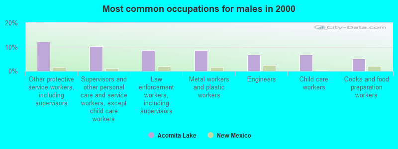 Most common occupations for males in 2000