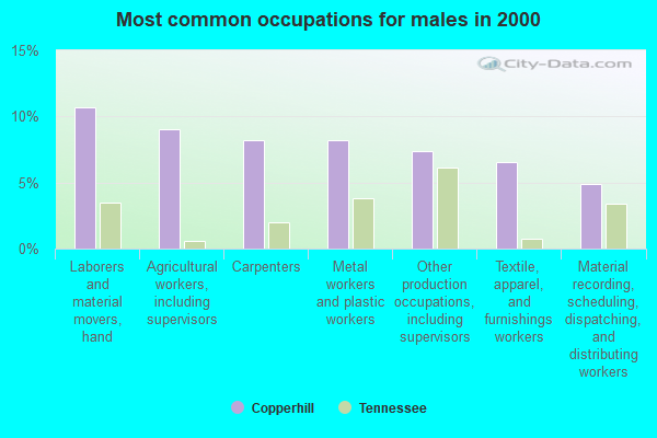 Copperhill, Tennessee (TN 37317) profile population, maps, real estate