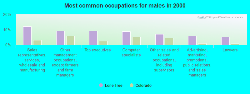 Most common occupations for males in 2000