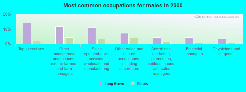 Most common occupations for males in 2000