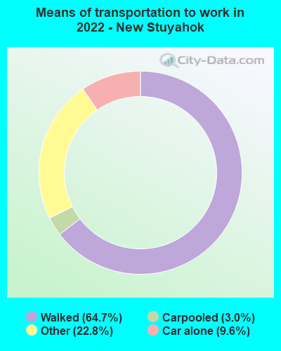 Means of transportation to work in 2022 - New Stuyahok
