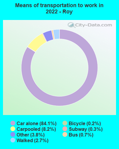 Means of transportation to work in 2022 - Roy
